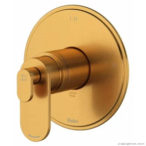3-in-1 Thermostatic Valve Trim Brushed Gold - Arca TAA23BG by RIOBEL Modern Design