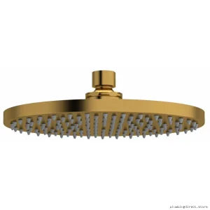 8-Inch Rain Round Showerhead Fixture - Brushed Gold Finish for Bathroom | RioBel
