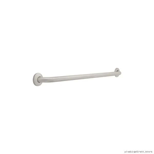 Stainless Steel ADA Safety Grab Bar for Accessible Bathrooms