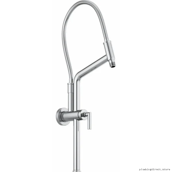 Adjustable Shower Arm with Flange Mount - Chrome 81892-PC Brizo