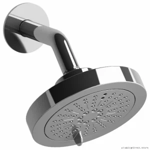 Dual-Function Round Showerhead with Adjustable Arm - 1.8 GPM Chrome Finish - RIOBEL 366C-WS
