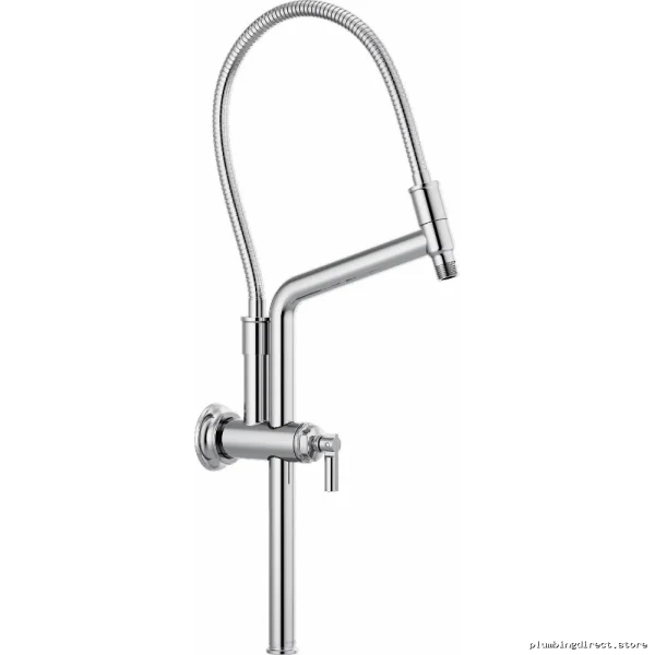 Adjustable Height Chrome Shower Arm & Flange Kit - Easy Install