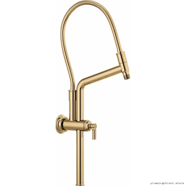 Adjustable Height Shower Arm & Flange Kit - Polished Gold 81376-PG Brizo - Image 2