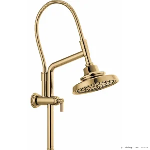 Adjustable Height Shower Arm & Flange Kit - Polished Gold 81376-PG Brizo