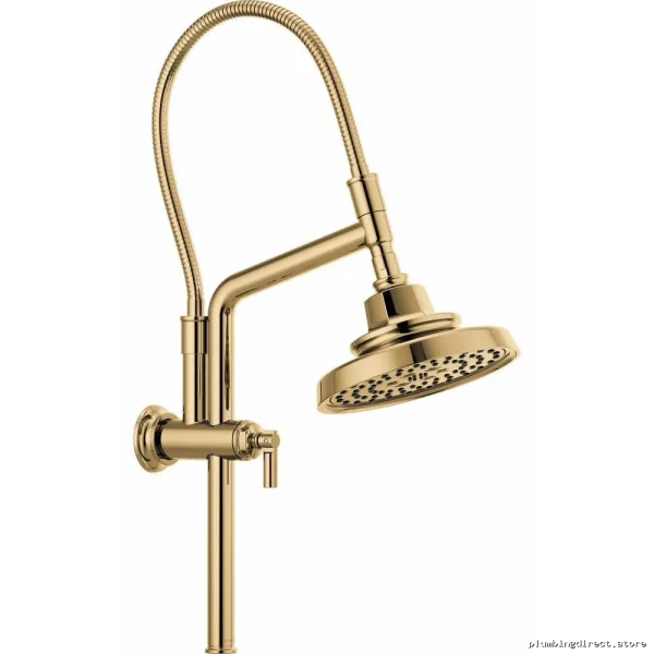 Adjustable Height Shower Arm & Flange Kit - Polished Gold 81376-PG Brizo