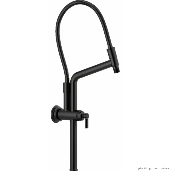 Adjustable Height Shower Arm & Flange - Matte Black Brizo