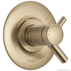 Adjustable Temperature Control Valve Trim by Odin - Luxe Gold Finish T60075-GL
