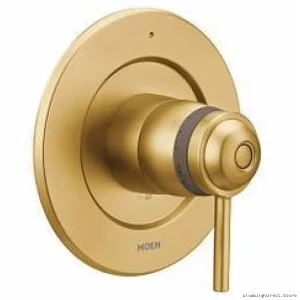 Align ExactTemp Valve Trim - Durable Brushed Gold Finish for Precise Temperature Control