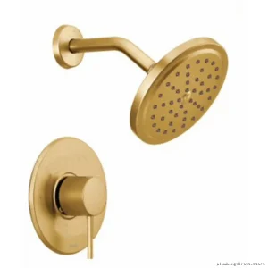 Align M-Core 3 Shower Trim Kit - Brushed Gold Finish for Moen Fixtures