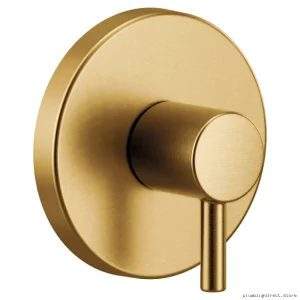 Align M-Core Brushed Gold Transfer Valve Trim - Model UT4191BG