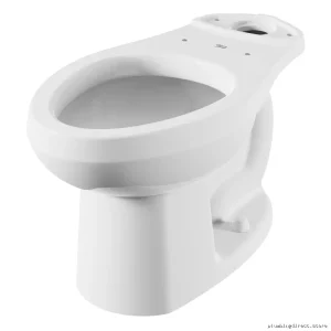 American Standard FlowWise Elongated Toilet in White - Water Efficient Design