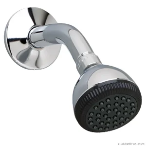 American Standard Self-Cleaning Chrome Shower Head