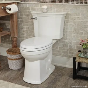 American Standard Vormax Tall Elongated Toilet Bowl White No Seat