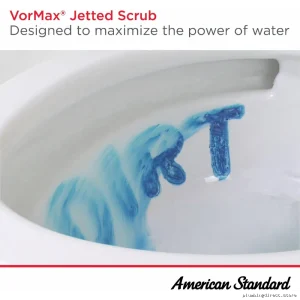 American Standard Vormax White Elongated Toilet Bowl - Tall Height Design