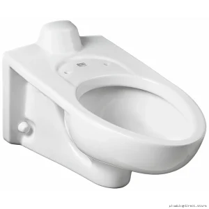 American Standard Wall-Mount Elongated Toilet Bowl White No Seat