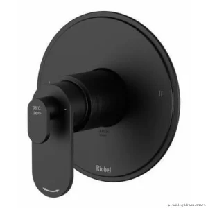 Arca Black Thermostatic Shower Valve Trim with 2 Functions TAA44BK