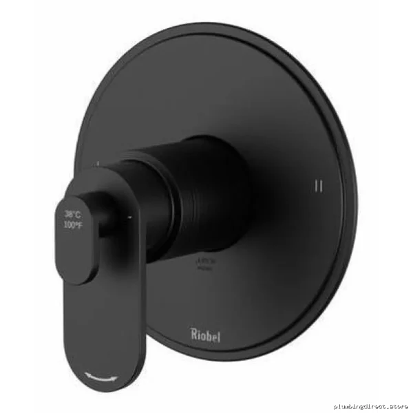Arca Black Thermostatic Shower Valve Trim with 2 Functions TAA44BK