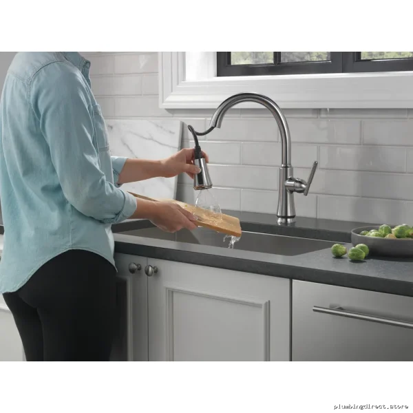 Coranto Arctic Stainless Kitchen Faucet with Pulldown ShieldSpray - Image 2