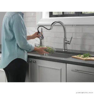 Coranto Arctic Stainless Kitchen Faucet with Pulldown ShieldSpray