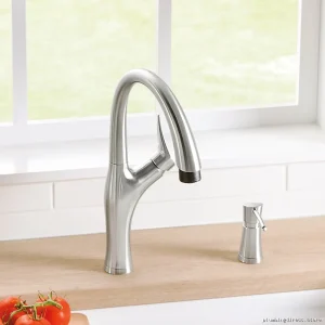 Artona Blanco Stainless Steel Kitchen Faucet with Pulldown Spray