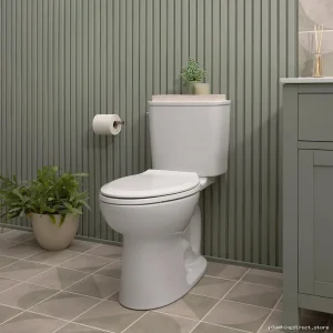 Aspirations Must-Have Toilet Paper Holder - Brushed Nickel 7061230.295 American Standard