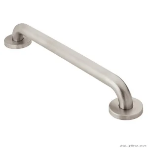 Stainless Steel Bathroom Safety Grab Bar - Moen Home Care 8716