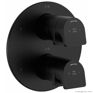 Black 6-in-1 Thermostatic Valve Trim - RioBel Faucet