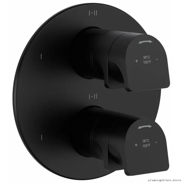 Black 6-in-1 Thermostatic Valve Trim - RioBel Faucet