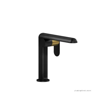 Modern Single-Hole Bathroom Faucet in Black & Brushed Gold Finish - CIS00KNBKBG by RIOBEL