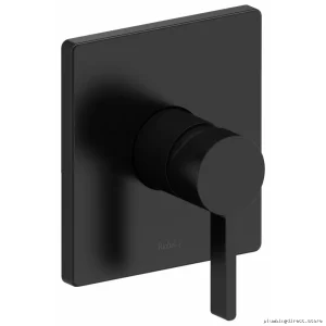 Safety Rated Pressure Balance Valve Trim in Black – RioBel