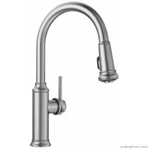 Blanco 442500 Kitchen Faucet with Pull-Down Spray - Stainless Steel High-Performance Empressa