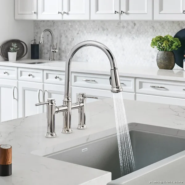 Blanco Chrome Pull-Down Spray Kitchen Faucet - Empressa Bridge Design