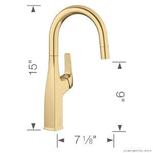 Blanco Gold Stain Rivana Pull-Down Kitchen Faucet for Bar Prep
