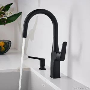 Matte Black Kitchen Bar Prep Pullout Spray Faucet - Blanco