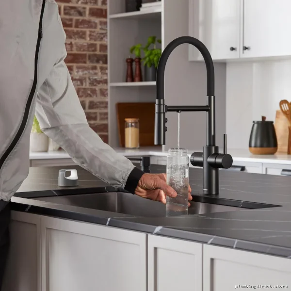 Catris 442992 Blanco Semi-Professional Kitchen Sink Faucet with Flexible Filter System - Matte Black - Image 2