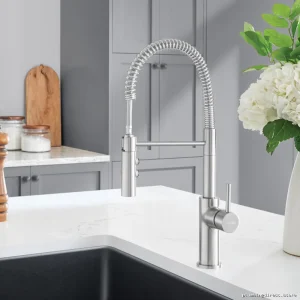 Catris Professional-Grade Kitchen Faucet with Spring-Loaded Pull-Down Spray Nozzle - 401918 Blanco Stainless Steel