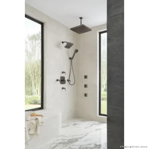 Brilliance Black Onyx Wall-Mounted Hand Shower, 4-Setting 1.75 GPM - Brizo 88867-BNX