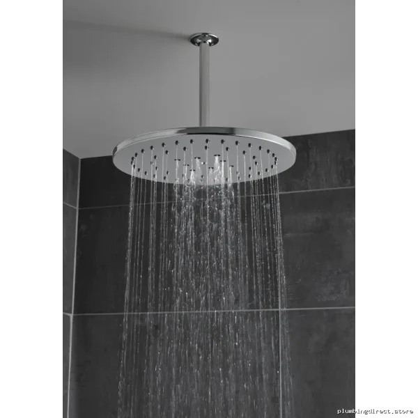 Brizo 10-Inch Chrome Ceiling Mount Shower Arm & Flange Kit - Stainless Steel RP48986PC