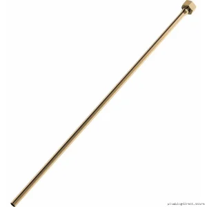 Brizo 20-Inch Polished Gold Metal Water Supply Line BT01201-PG