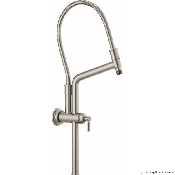 Brizo Brushed Nickel Adjustable Shower Arm with Flange 81376-BN