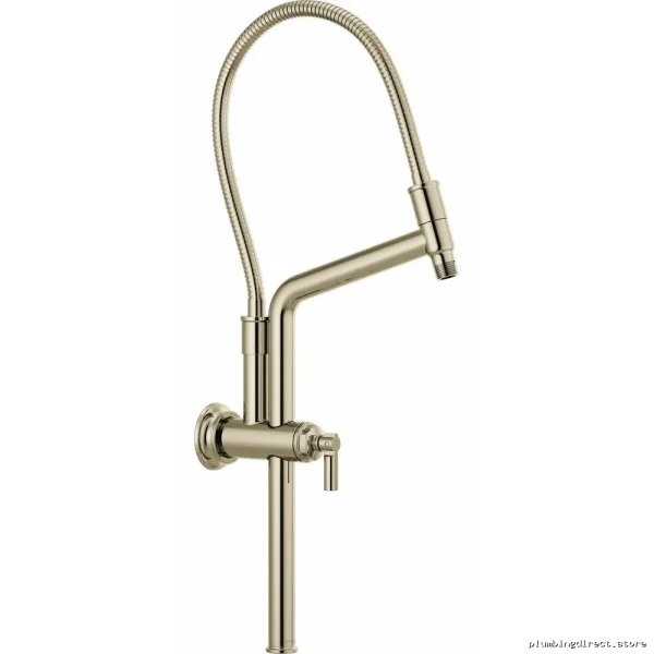 Brizo 81376-PN Polished Nickel Shower Arm with Adjustable Height and Flange