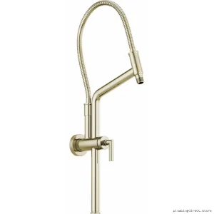 Brizo Slide Bar Shower Arm & Flange - Stainless Steel Polished Nickel 81892-PN for Modern Bathrooms