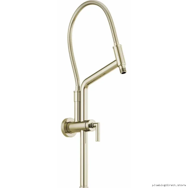 Brizo Slide Bar Shower Arm & Flange - Stainless Steel Polished Nickel 81892-PN for Modern Bathrooms