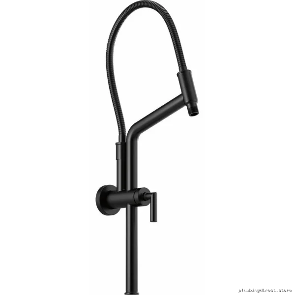 Adjustable Shower Arm with Slide Bar & Flange - Matte Black Finish (81892-BL) Brizo