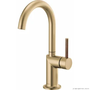 Brizo Arc Spout Single-Handle Bar Faucet in Brilliance Luxe Gold