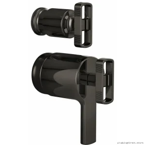 Brizo Black Onyx Diverter Thermostatic Valve Kit