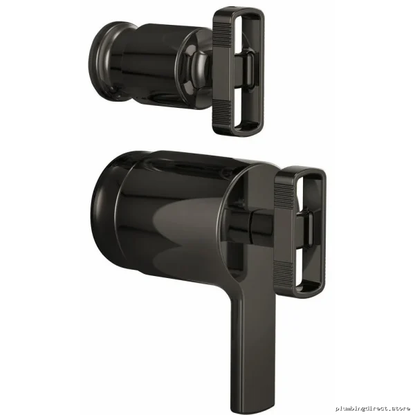 Brizo Black Onyx Diverter Thermostatic Valve Kit