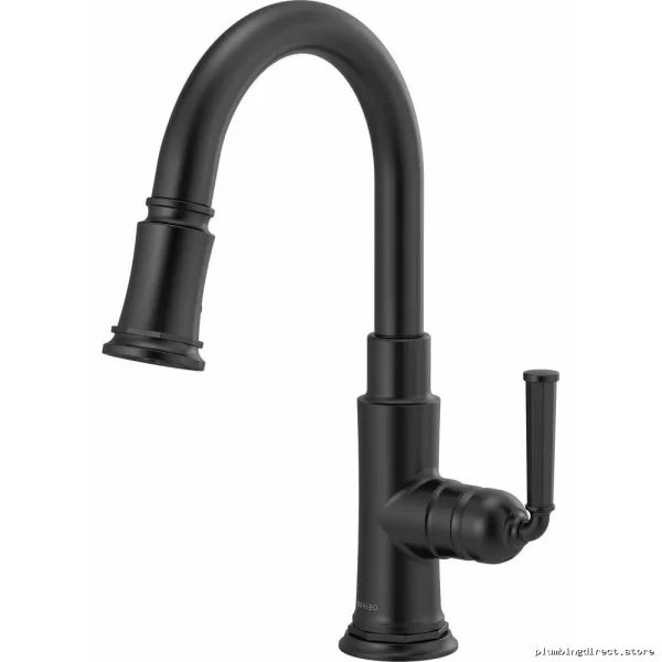 Brizo Dual Function Kitchen Faucet with Pull-Down Spray & Matte Black Finish