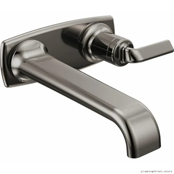 Brizo Faucet Back Plate for 2-Hole 1-Handle Wall Mount Bathroom Faucet - Brilliance Black Onyx 696767-BNX