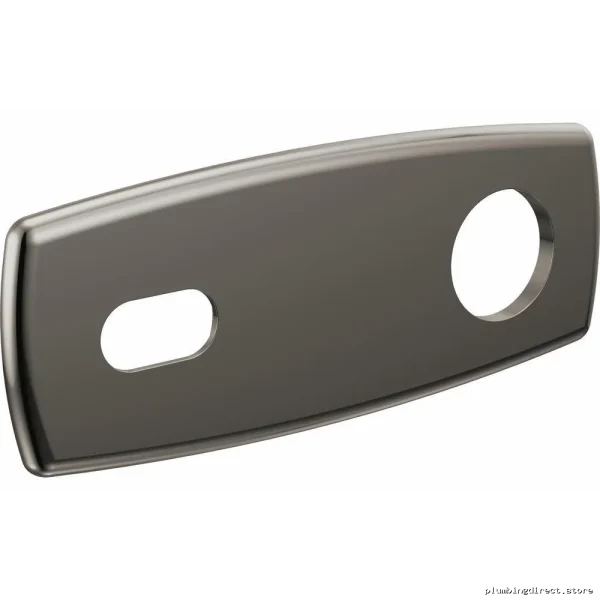 Brizo Faucet Back Plate for 2-Hole 1-Handle Wall Mount Bathroom Faucet - Brilliance Black Onyx 696767-BNX - Image 2